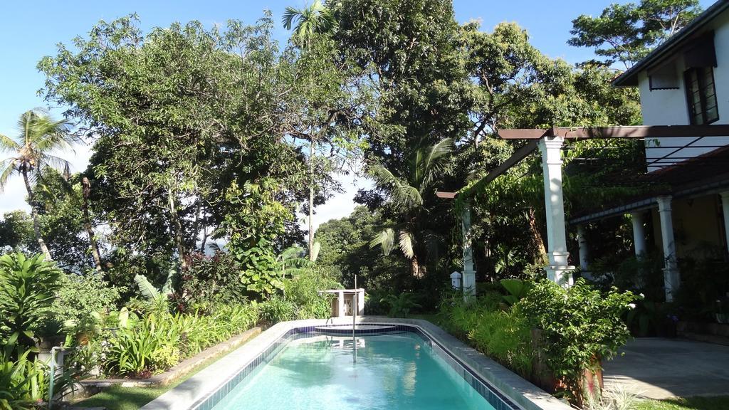 Strathisla Tea Estate Bungalow Matale Exteriér fotografie
