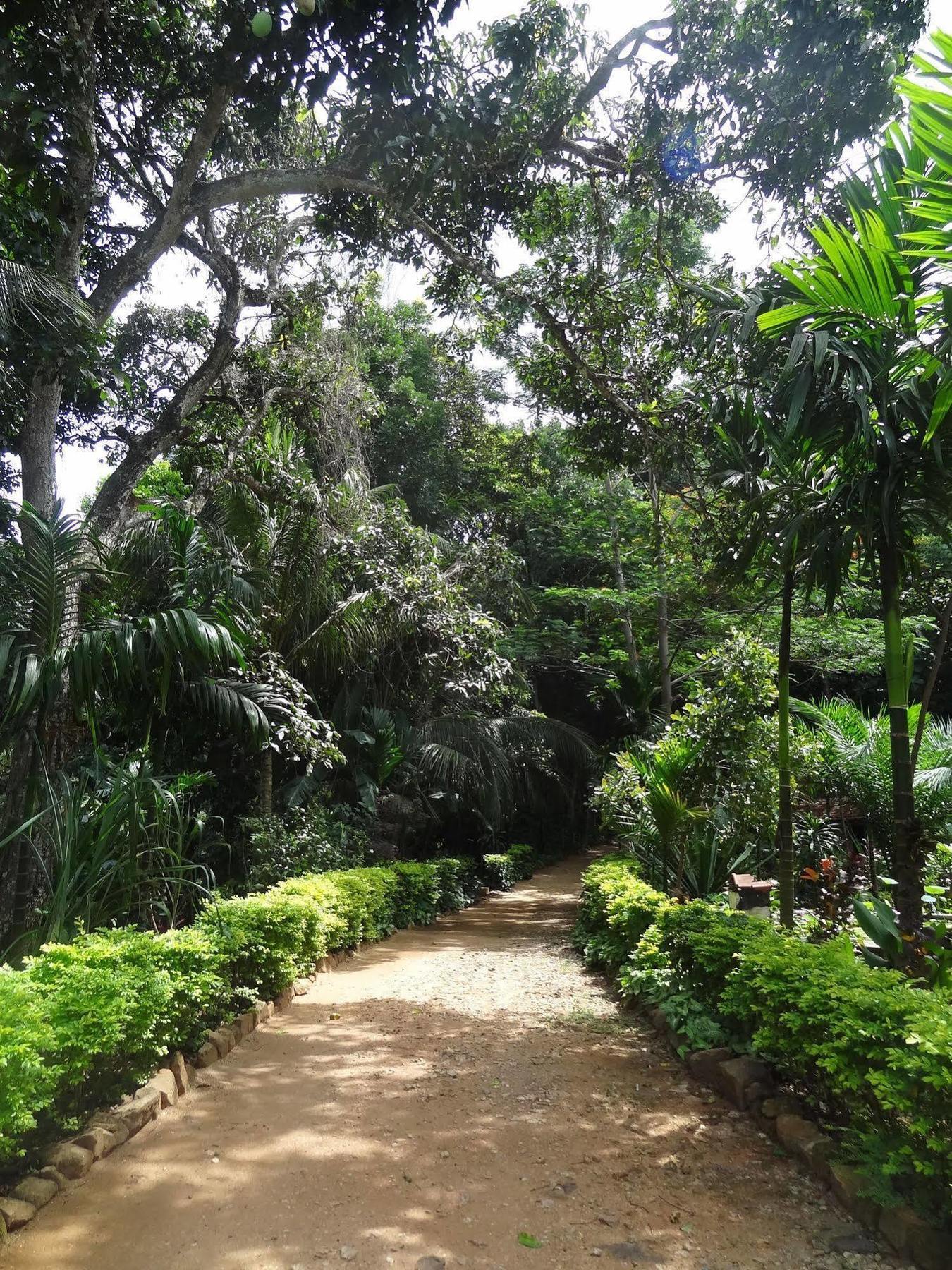 Strathisla Tea Estate Bungalow Matale Exteriér fotografie