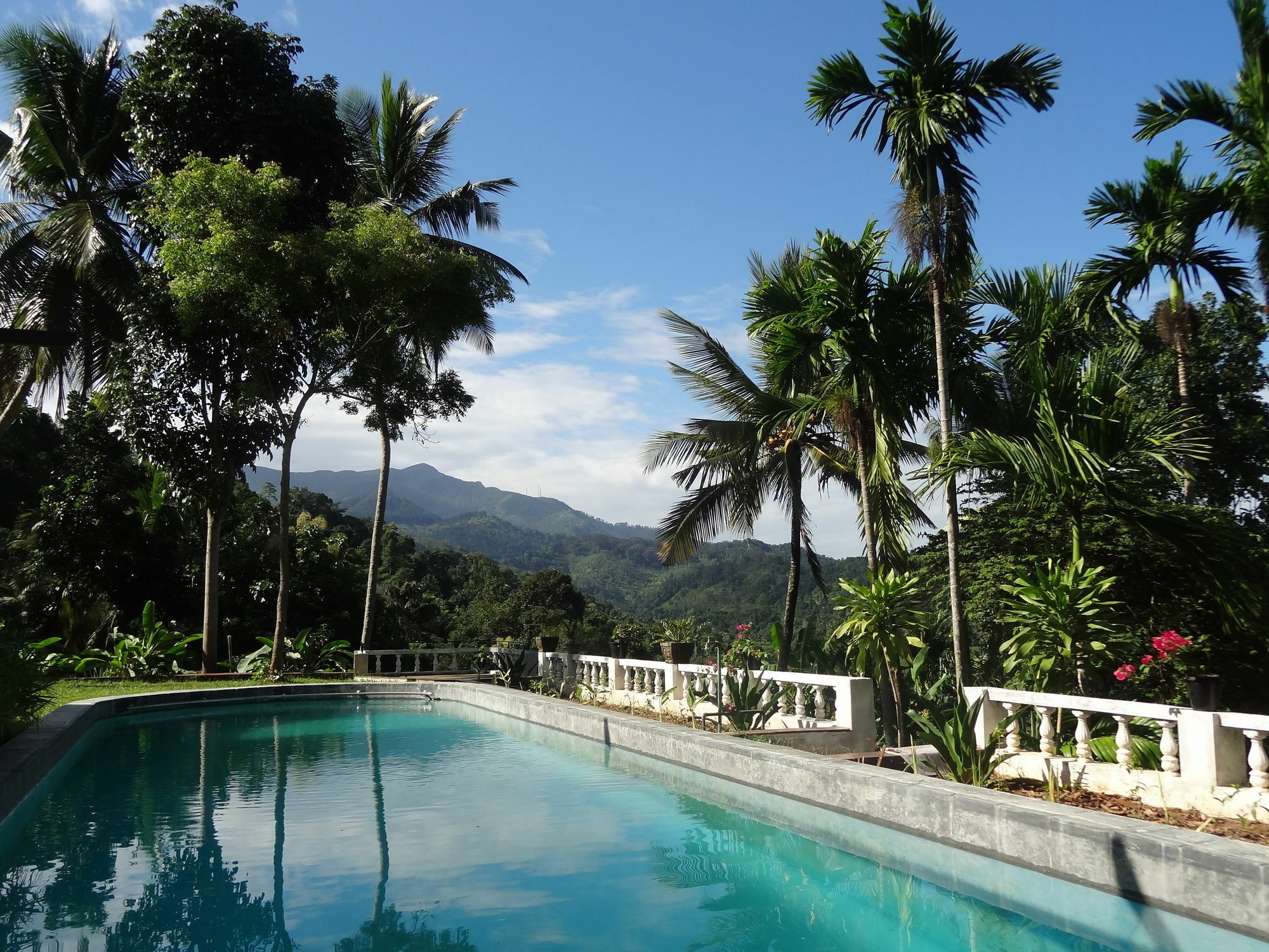 Strathisla Tea Estate Bungalow Matale Exteriér fotografie