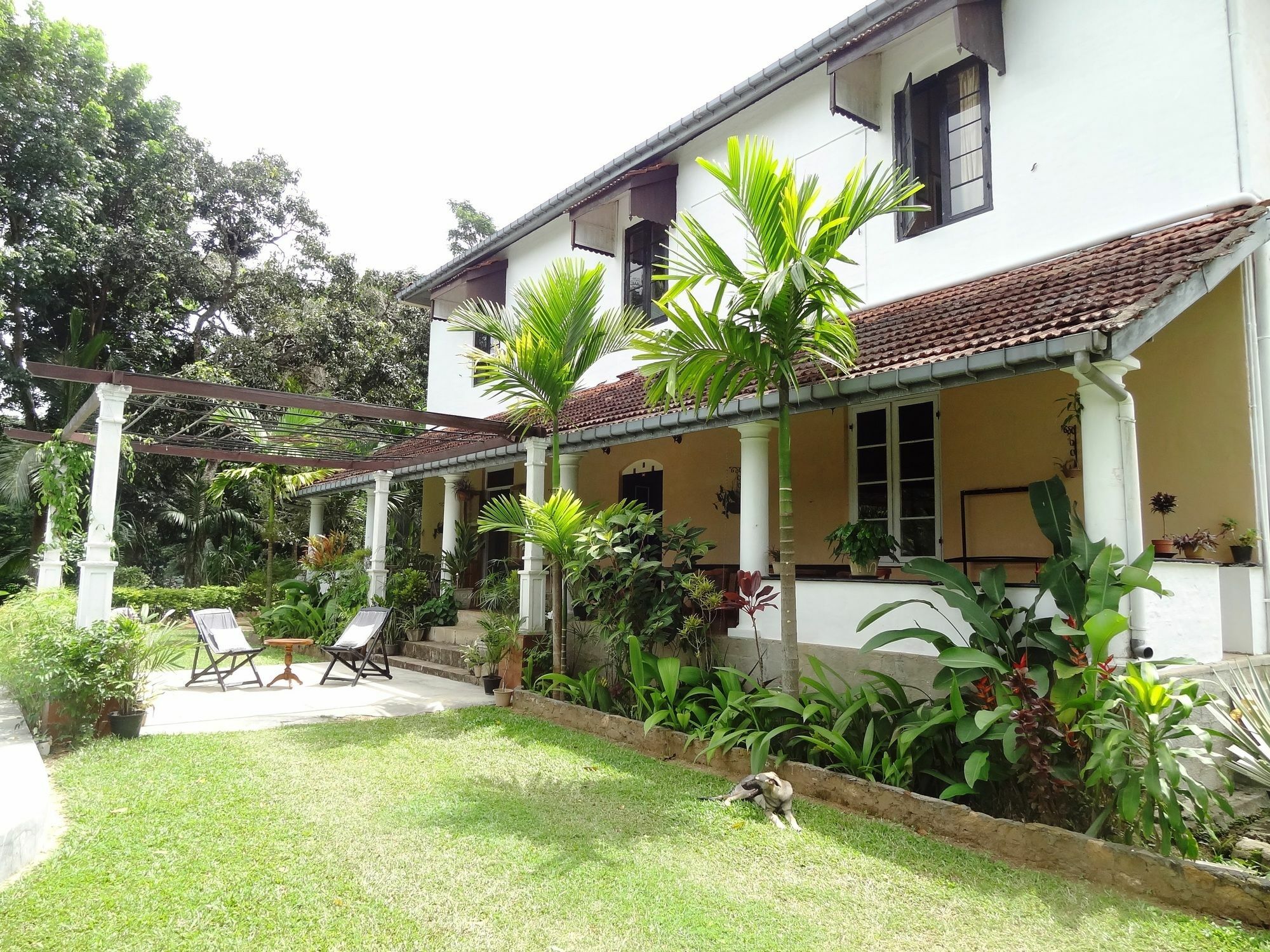 Strathisla Tea Estate Bungalow Matale Exteriér fotografie